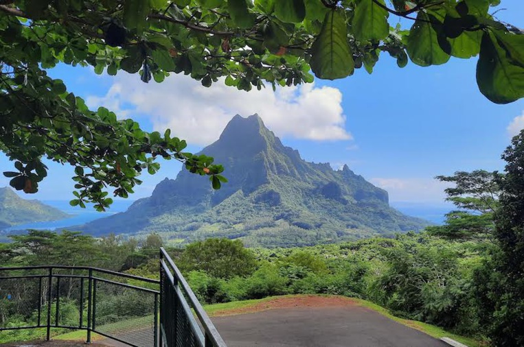 Grottes tapu de Piha'ena : Le Pays réagit Grottes tapu de Piha'ena : Le Pays réagit