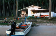 En 1971, l’antenne du Muséum-EPHE s’implante sur le site de Tiahura. En 1971, l’antenne du Muséum-EPHE s’implante sur le site de Tiahura.