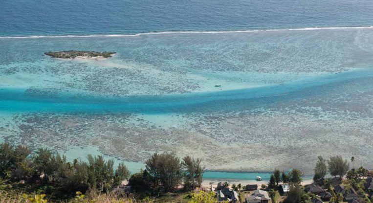 Tiahura au nord-ouest de l’île de Moorea, est très certainement la tranche de récif la mieux connue au monde après cinq décennies de travaux publiés. Tiahura au nord-ouest de l’île de Moorea, est très certainement la tranche de récif la mieux connue au monde après cinq décennies de travaux publiés.
