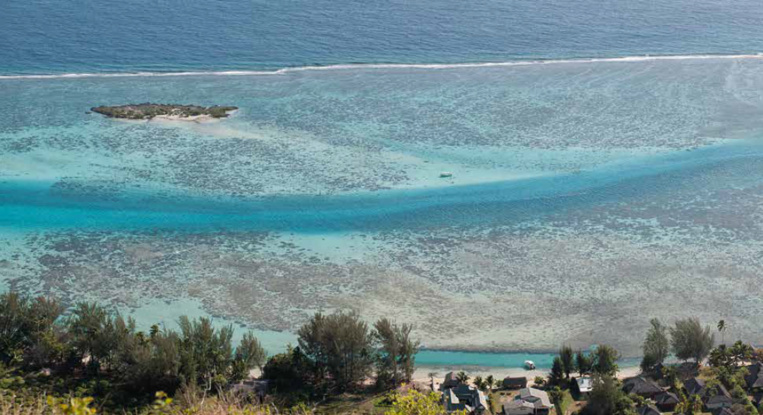 Tiahura au nord-ouest de l’île de Moorea, est très certainement la tranche de récif la mieux connue au monde après cinq décennies de travaux publiés.