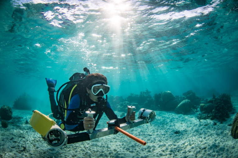 50 ans du Criobe, pionnier de la recherche sur les récifs coralliens 50 ans du Criobe, pionnier de la recherche sur les récifs coralliens