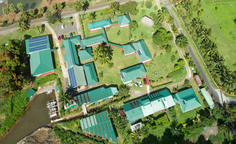 50 ans du Criobe, pionnier de la recherche sur les récifs coralliens 50 ans du Criobe, pionnier de la recherche sur les récifs coralliens