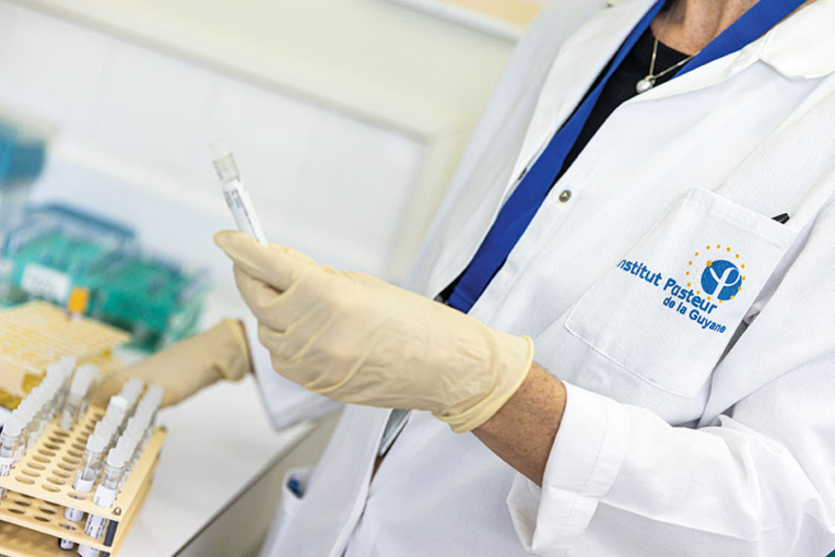 Guyane: détérioration de la situation sanitaire dans une population peu vaccinée