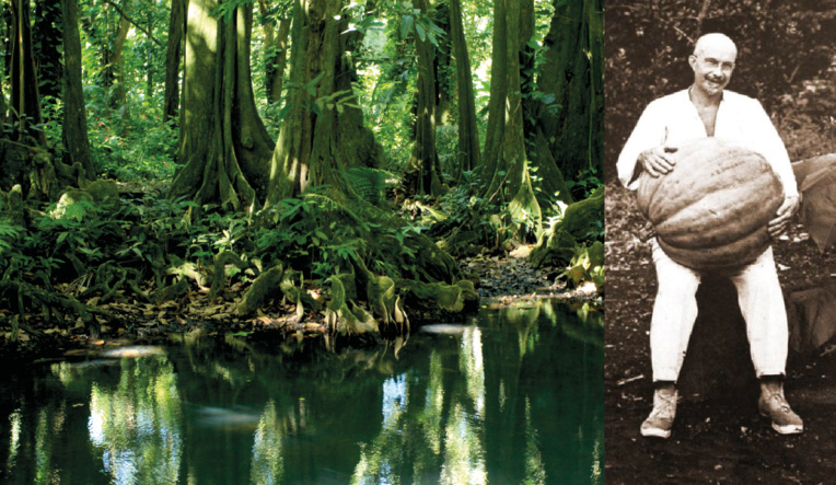 Harrison Smith posant avec une citrouille de belle taille ; à partir de 1919, et jusqu’à sa mort en 1947, cet Américain se consacra entièrement à l’introduction de nouvelles plantes tropicales à Tahiti (photo collection musée James Norman Hall).