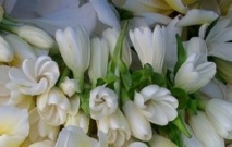 Le Monoï de Tahiti présent au salon professionnel Health & Beauty Expo au Jacob Javits Center de New York