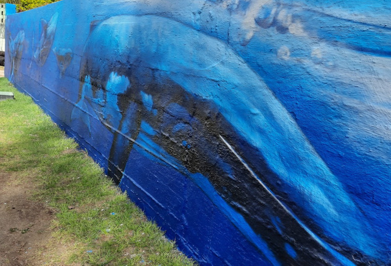 Street art et traditions à Rurutu Street art et traditions à Rurutu