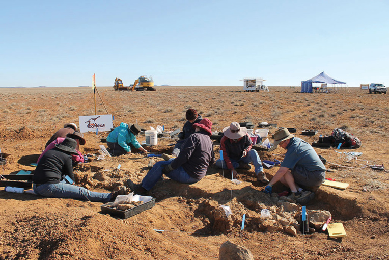 Le plus grand dinosaure découvert en Australie identifié comme une nouvelle espèce Le plus grand dinosaure découvert en Australie identifié comme une nouvelle espèce