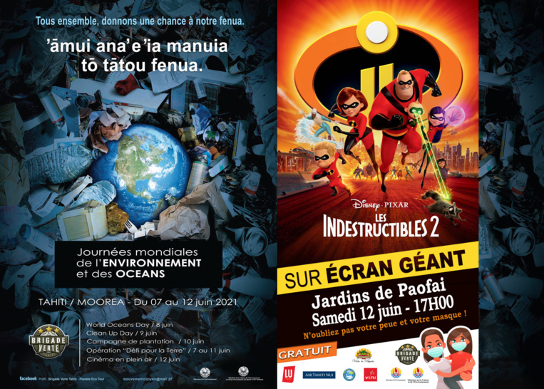 Les dauphins, des espèces à respecter Les dauphins, des espèces à respecter