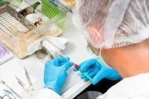 Japon: feu vert pour premiers essais cliniques avec cellules souches iPS