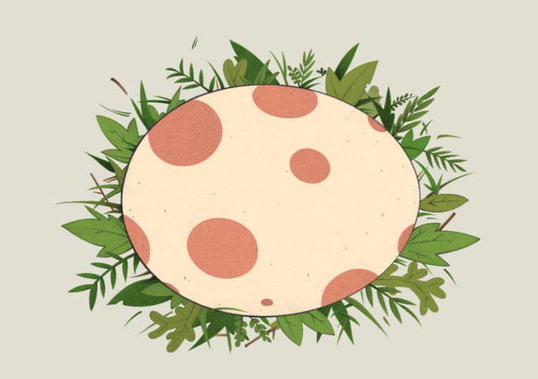 Découvre Le Grand Mo’o de Fautaua Découvre Le Grand Mo’o de Fautaua