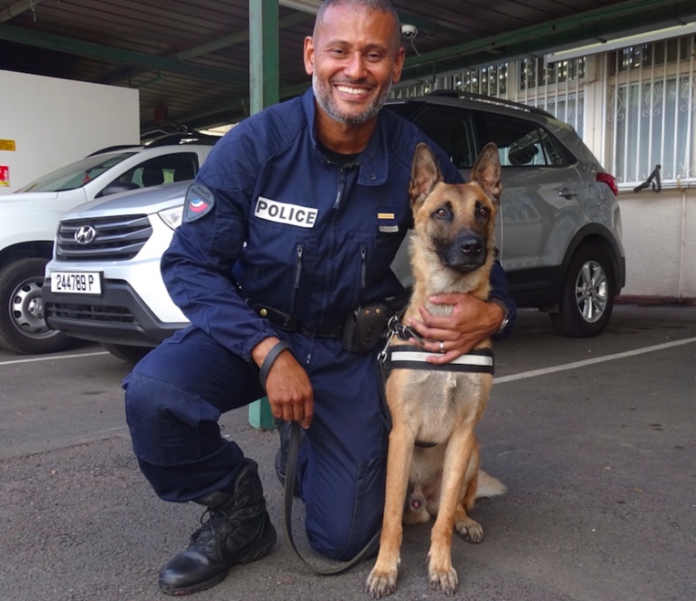 Power, la terreur des dealers Power, la terreur des dealers