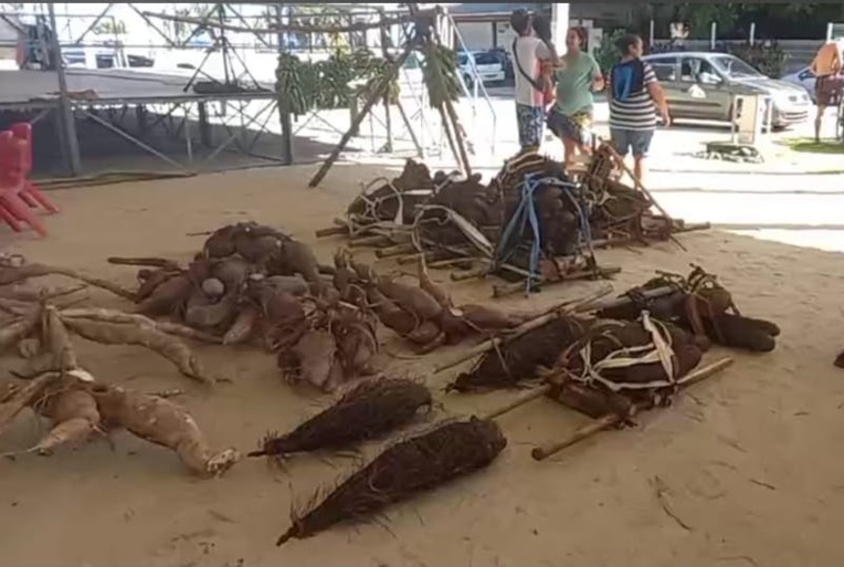 La traditionnelle pesée des tubercules faisait partie de l'exposition.