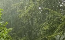 En Inde, le déluge s'abat chaque année sur le village "le plus humide de la Terre"