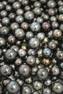 Enchères du GIE Poe o Rikitea : 325,4 millions Fcfp, une vente "au-delà des estimations"