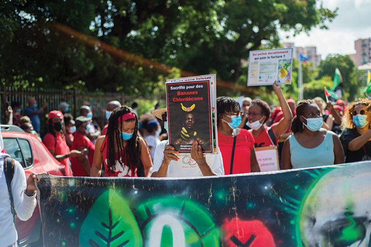 Pesticides et problèmes de santé: le lien se précise pour six maladies graves