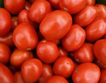 De la peau de tomate pour habiller les conserves