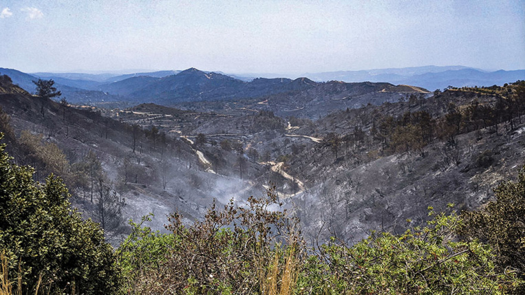 Le pire incendie à Chypre maîtrisé après deux jours de lutte contre les flammes