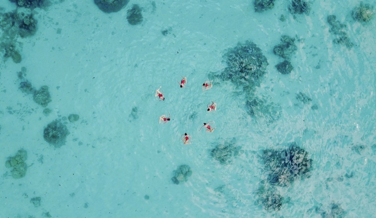 De la natation artistique à la rentrée De la natation artistique à la rentrée