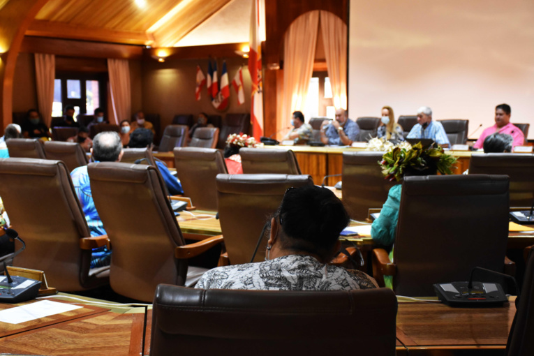 Séance plénière expédiée au Cesec Séance plénière expédiée au Cesec
