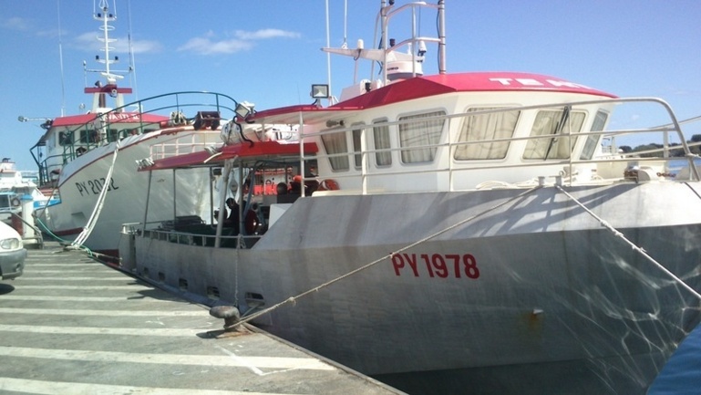 Tearii Alpha rencontre les pêcheurs : "Préparons dès aujourd’hui l’avenir de notre pêche !"