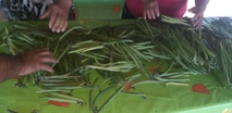 Pénurie de vanille à Taha'a pour la dernière vente Pénurie de vanille à Taha'a pour la dernière vente