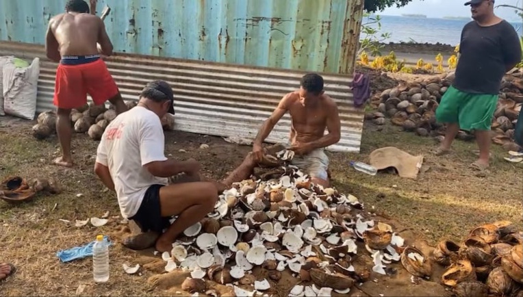 Les champions de Taha’a se préparent pour le Heiva tu’aro maohi Les champions de Taha’a se préparent pour le Heiva tu’aro maohi