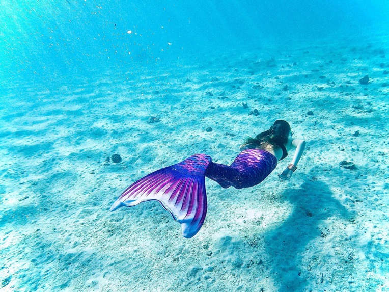 Le "mermaiding" proposé à Moorea 