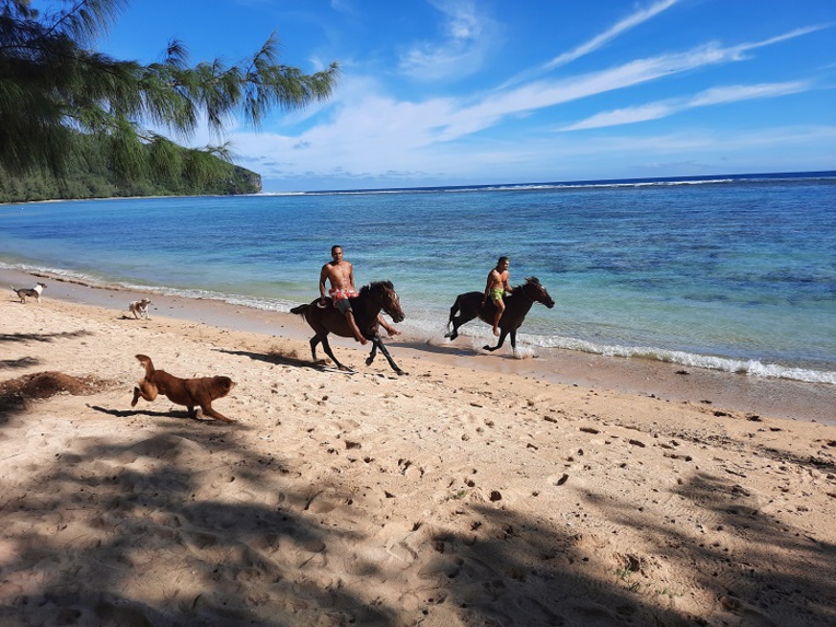 Les chevaux acteurs des festivités du 14-Juillet Les chevaux acteurs des festivités du 14-Juillet