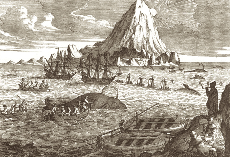 Ce sont les baleiniers essentiellement qui écrivirent l’histoire des Galápagos au XVIIIe siècle.