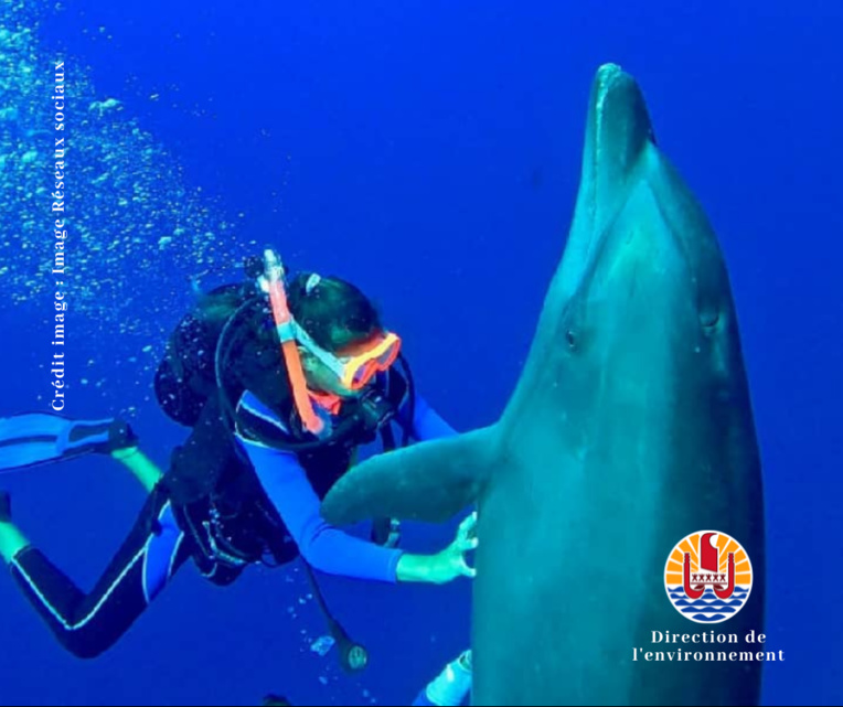 Espèces protégées, on touche avec les yeux Espèces protégées, on touche avec les yeux