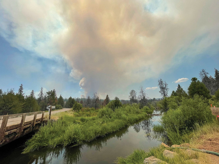 L'Ouest américain brûle, un fournisseur d'électricité mis en cause L'Ouest américain brûle, un fournisseur d'électricité mis en cause