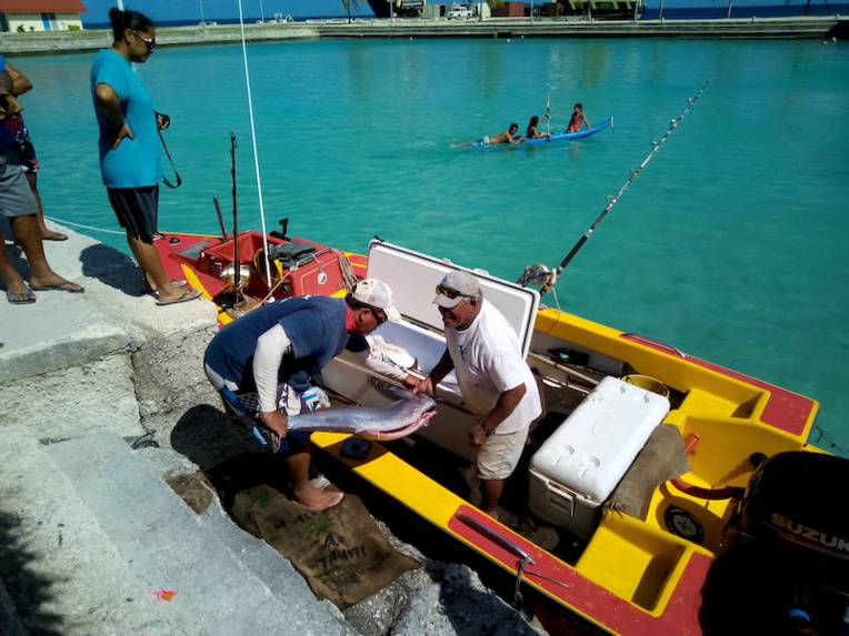 Pas question de trainer au concours de pêche de Hao Pas question de trainer au concours de pêche de Hao