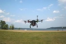 Le Canada recourt aux drones pour effrayer les oies