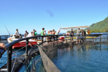 Exploitations aquacoles: Les membres du CESC en déplacement à la Presqu’île