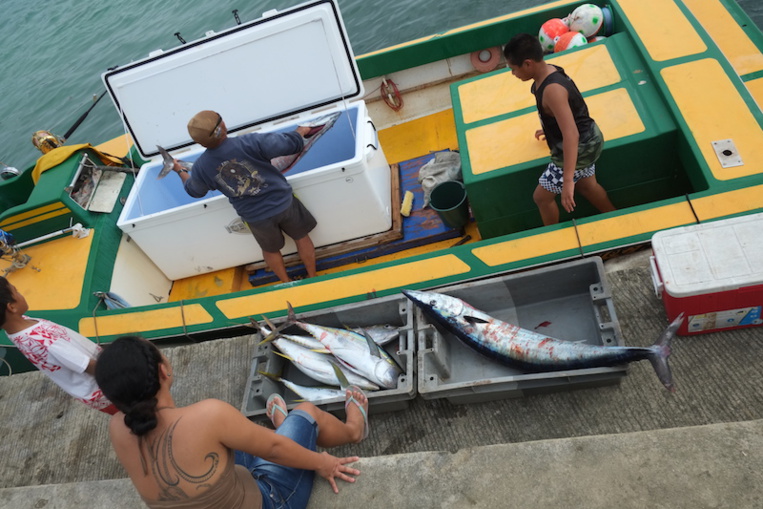 Baisse du prix du carburant pour les pêcheurs