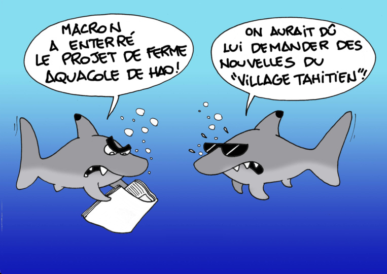 L'actualité croquée par Munoz L'actualité croquée par Munoz