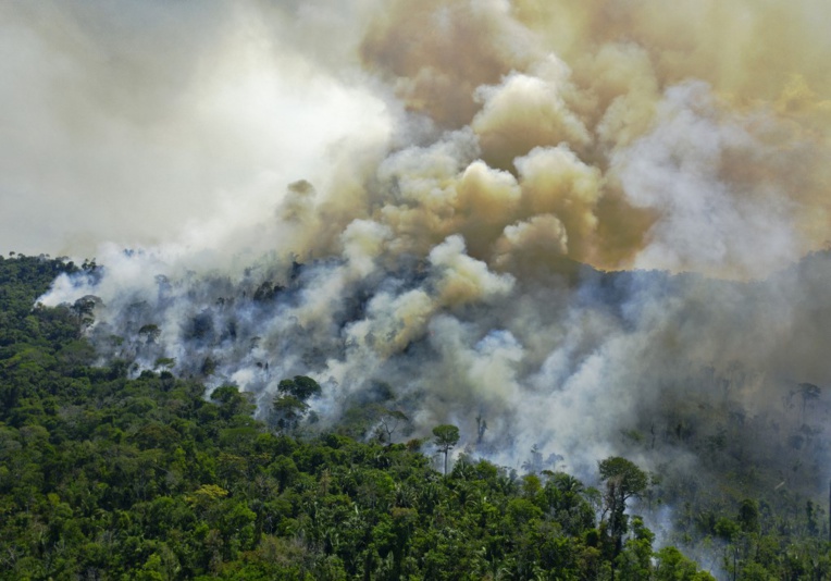 Amazonie : le Brésil n'atteindra pas son objectif de réduction de la déforestation