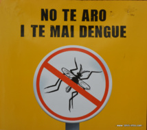 Progression de la dengue en Polynésie : un cas suspect sur deux est confirmé