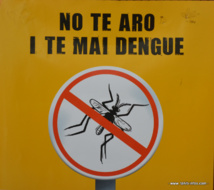 Progression de la dengue en Polynésie : un cas suspect sur deux est confirmé