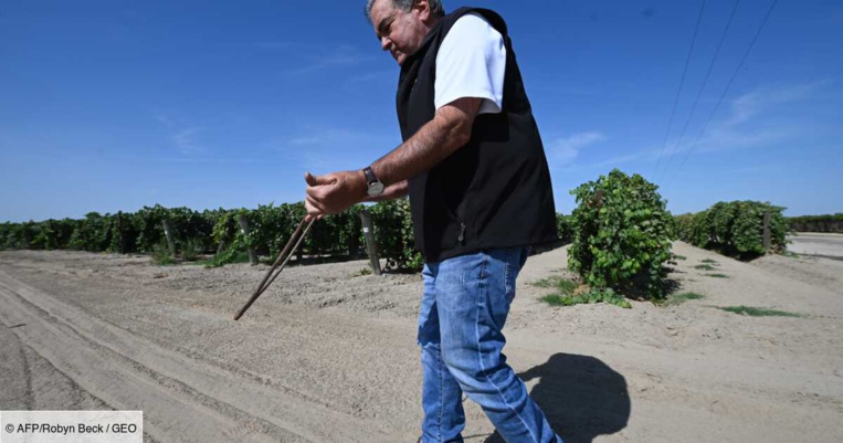 Dans les vergers desséchés de Californie, un sourcier à la recherche de l'or bleu