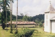Saül, ce petit village d'Amazonie française qui résiste aux chercheurs d'or