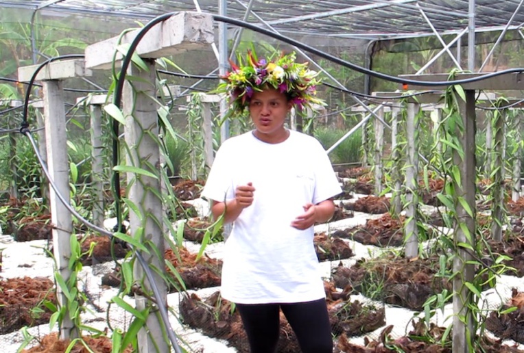 La culture de la vanille sera au cœur de l'enseignement encore cette année. La culture de la vanille sera au cœur de l'enseignement encore cette année.