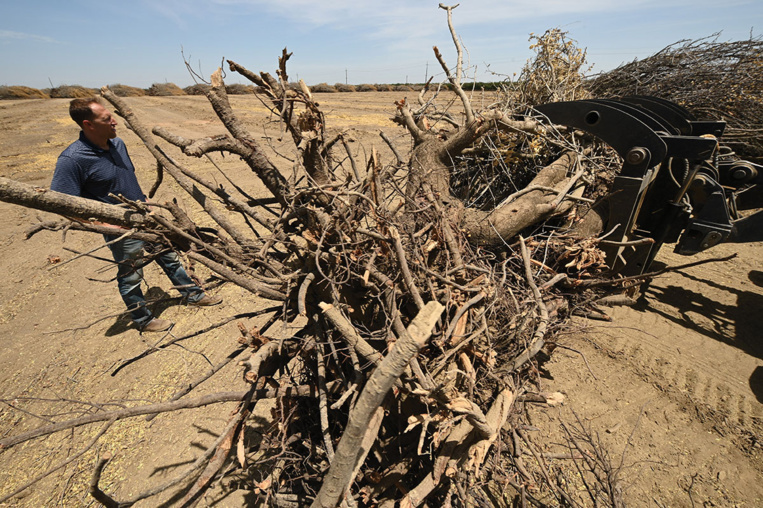 Robyn Beck / AFP Robyn Beck / AFP