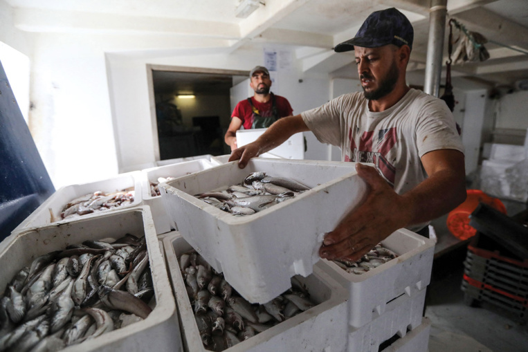 RAYMOND ROIG / AFP RAYMOND ROIG / AFP