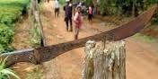 Papouasie-Nouvelle-Guinée: l'attaque de touristes à la machette fait deux morts
