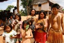 Des tablettes éducatives pour des indiens de l'Amazonie colombienne