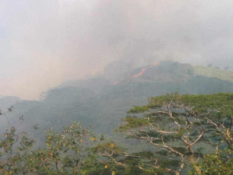 Feu de brousse à Mahina : tous les centres de secours de Tahiti mobilisés