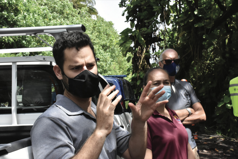 Anatauarii Leal-Tamarii.