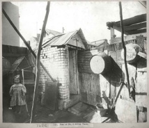 19 janvier 1900, la mort noire frappe Sydney