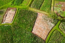 Tahiti Heritage: Découvrez les richesses de notre fenua Tahiti Heritage: Découvrez les richesses de notre fenua